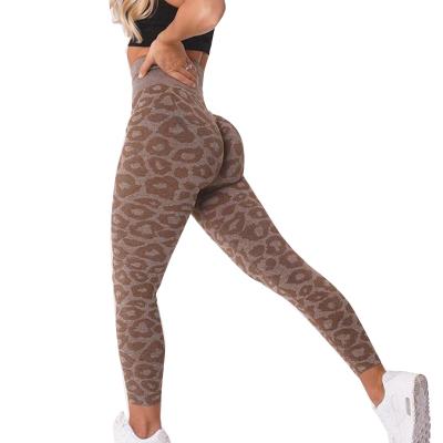 China Women Breathable Soft Compression High Waist Comfort Slimming Leopard Seamless Fitness Gaiters for sale