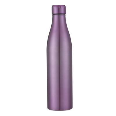 China Sustainable Health And Environmental Protection Stainless Steel Long Neck Milk Bottles Matte Water Bottle for sale