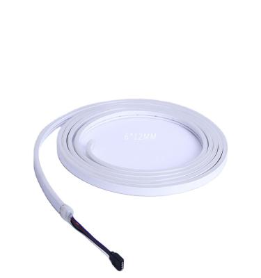 China Hot Selling LANDSCAPE Strip Light Silicone Strip Light DC 12v 24v With Best Price for sale