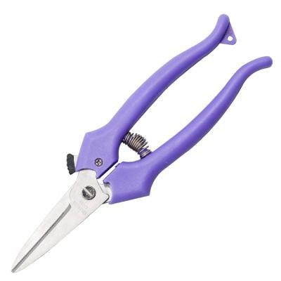 China Garden Tools Telescopic Scissors Garden Trimming Shears Fruit, Floral, Shears for sale