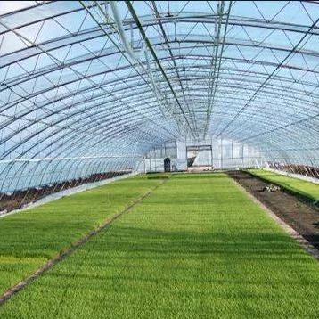 China High Quality Galvanized Building Structure Steel Structure Garden Greenhouse for sale