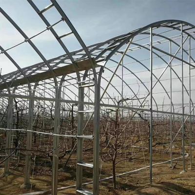 China Stable Structure Tianjin CREATE Green House Greenhouse Mini Greenhouse For Agricultural for sale