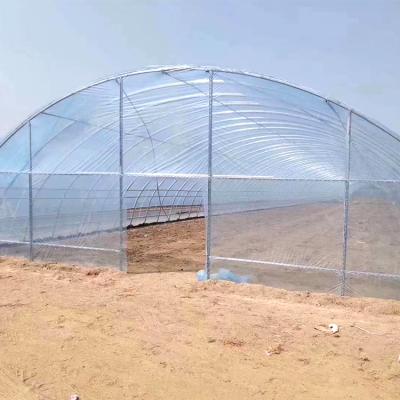 China TIANJIN fruit vegetable flowers CREATE Mini Garden Green House Agriculture for sale