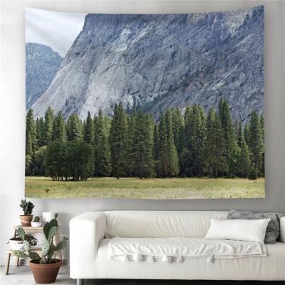 China Quality Washable Perfect Lightweight Tapestry Custom Tapestry Printed for sale