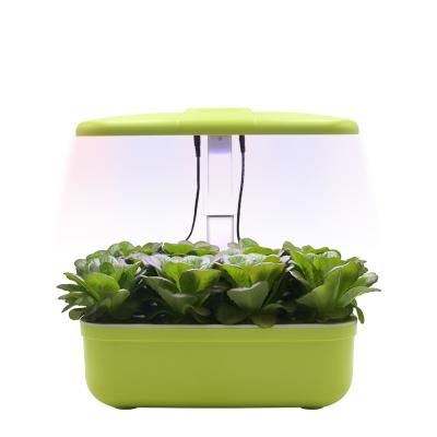 China Smart Indoor Garden 12 Pods Vegetable Flowers Fruits Full-Spectrum Grow Light Auto Timer Hydroponic Equipment for sale