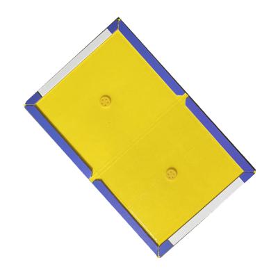 China Disposable High Quality Eco-friendly Big Mouse Glue Trap Paper Board for sale