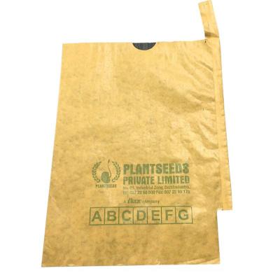 China Wholesale Custom Brown Mango Double Layer Growing Paper Bag Moisture Proof Protection for sale