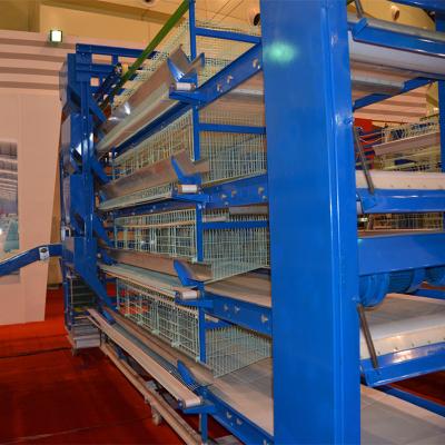 China Automatic Farms Tiers 3-6 Chicken Layer Broiler Cage For Poultry Farm for sale