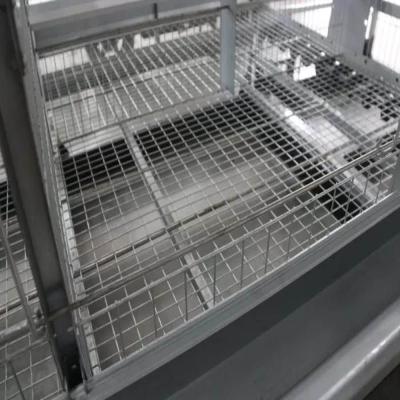 China Machinery Repair Shops 4 Rows A Type Chicken Cage Holding Poultry Electrostatic Spray Processing Chicken Producing Machine for sale