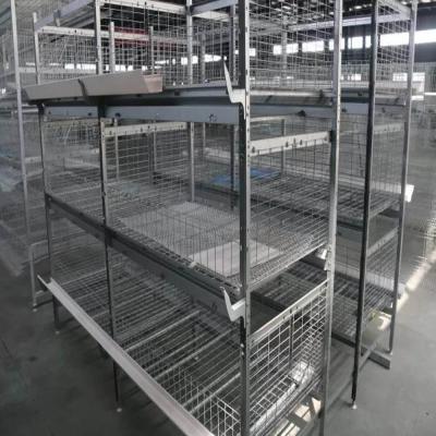 China Factory Industrial Broiler Cage Farming Conventional Cages For Layers Chicken Producing Machine for sale