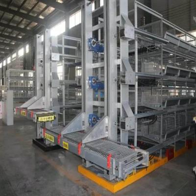 China Factory Hot Galvanized Automatic Chicken Cage Conventional Cages For Layers Chicken Producing Machine for sale