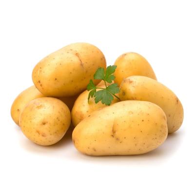 China Iqf Holland 2020 Best Grade Food Grade Whole Crop Potatoes Order/Buy Fresh Food Grade Fresh Vegetable for sale