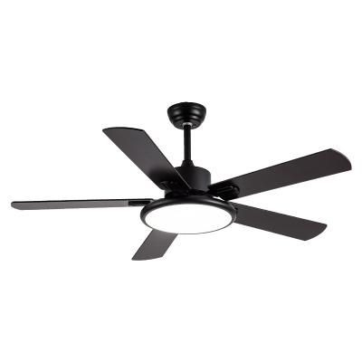 China Modern hot sale modern ceiling fan with 220V bedroom living room light fan led light ceiling for sale