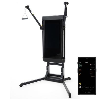 China Multiple Power Modes Smart Home Gym Full-Body Workouts Ultimate Strength Training Machine for sale