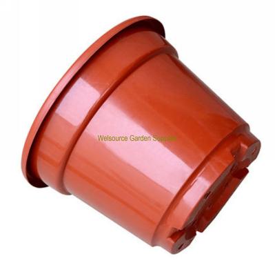 China Breathabe Dia.44.2cm Anti-edge Plastic Plant Nursery Seed Pot, Planting Plant From Seed for sale