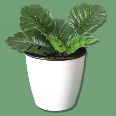 China Breathabe Diameter 18.5cm Plant Egg Shaped Absorbent Hydroponic Plastic Pot Automatically For Water Growing for sale