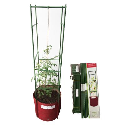 China CLASSIC Multi-Column 3-Layer Square Tomato Plant Support Bag for sale