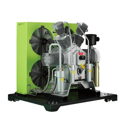 China Professional Lubricated 30KW 2 Cylinder Air Compressor Large Size Pump For Diving for sale