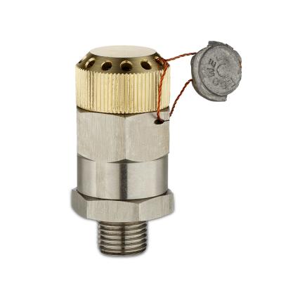 China General Compressor Gas Air Pressure Brass Automatic Safety Valves for sale