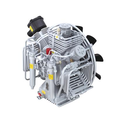 China LUXON-F Lubricated High Quality Air Cooled High Pressure Compressor for sale