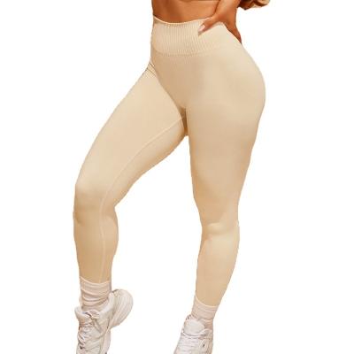 China Women Yoga Pants Women Yoga Gaiters Short Sleeves Pants Moisture Absorption And Perspiration Maker for sale