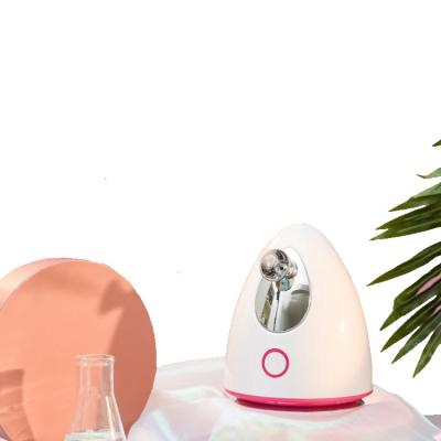 China 2021 New Adjustable Deep Cleansing Facial Steamer And Moisturizing Face Steamer Facial Steamer Humidifier for sale