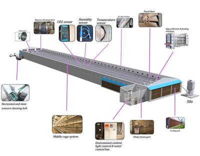 China Layer Chicken Farm Animal And Poultry Agriculture Equipment Home Use For Layers for sale