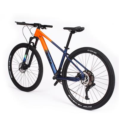 China Hot Selling Aluminum Alloy Cheapest Gears 10 12 29 Inch Bike Mountain Bike For Men for sale