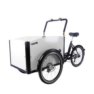 China Fat Tire 3 Wheel Steel Electric Tricycle Electric Bike Adult Cargo 20 Inch With Basket for sale