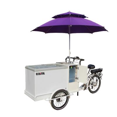 China Steel Wholesale New Arrive Factory Classic 3 Wheel Adult Tricycle Electric Cargo Bike Tricycle for sale