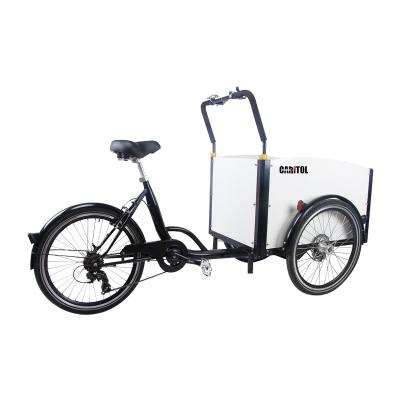 China Steel 3 Motor Wheels Electric Cargo Trike Electric Bike Electric Bicycle Cargo Tricycle for sale