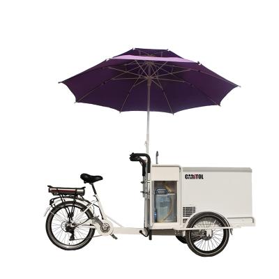 China 3 Wheel Steel Electric Tricycle CE Certificate Adult Cargo Bike Ice Freezing Refrigerated Tricycle for sale