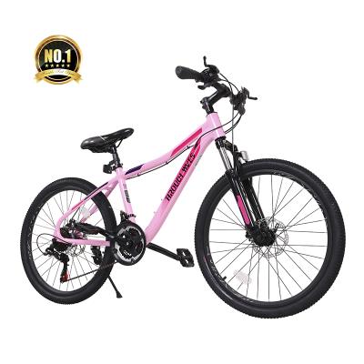 China Flat Earth 24 Inch 21-Speed ​​Mountain Bicycle /Cheap Mountain Bike/Bicycle Factory Import for sale