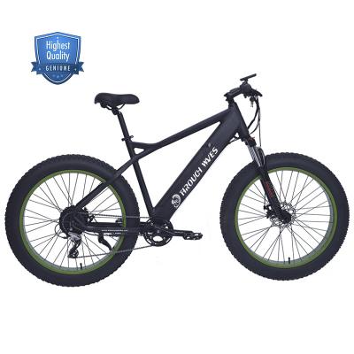 China 48V 750W power multifunctional big tire fat electric bike/fat tire bike electric bicycle/fat bike electric bicycle for sale