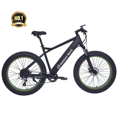 China Multifunctional 750W Tools Fat Tire E-Bike Fast Tire Mountain Bike Electric Bicycle for sale