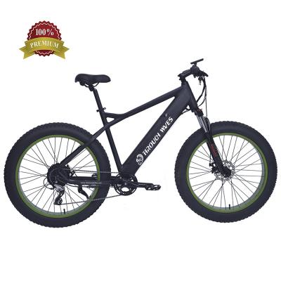 China 48V 750W Multifunctional Big Tire Power Fat Bike/Electric Snow Ebike/Electric Beach Cruiser Bicycle for sale