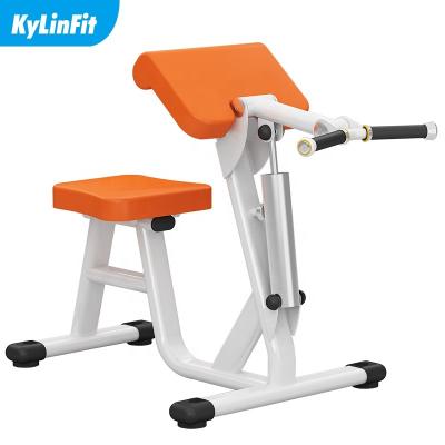 China Kylinfit Eco-friendly Commercial Arm Loop Bench for sale