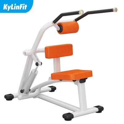 China Kylinfit Bodybuilding Back Extension Back Muscle Machine Eco-friendly Commercial Fitness Equipment In Gym for sale