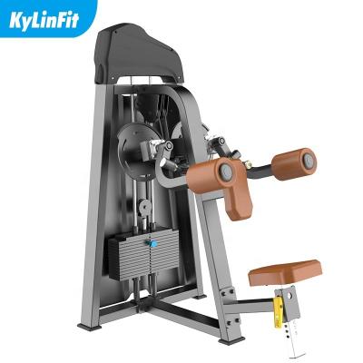 China High Quality Eco-friendly Commercial Lateral Gym Equipment Kylinfit Raise Machine Lateral Raise Machine Gym Equipment for sale