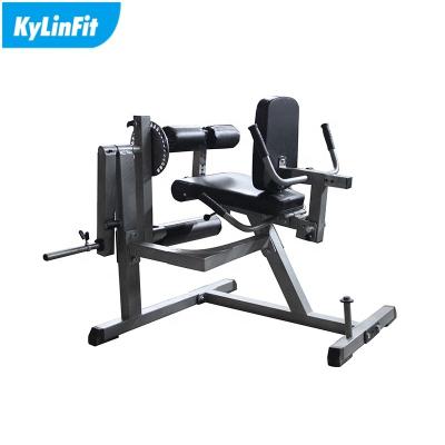 China Indoor Indoor Gym Equipment Leg Press Seated Row Machine Preacher Loop Bench for sale