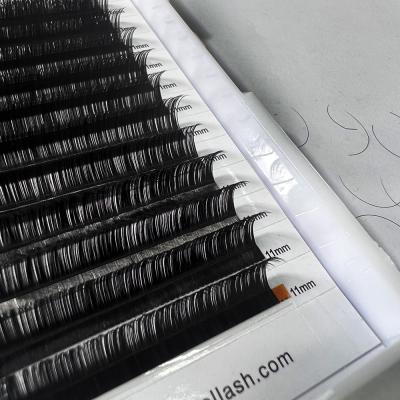 China Natural Eyelash Extensions Wholesale Natural Eyelash Extension Quewel Strand Extension Individual Private Label for sale