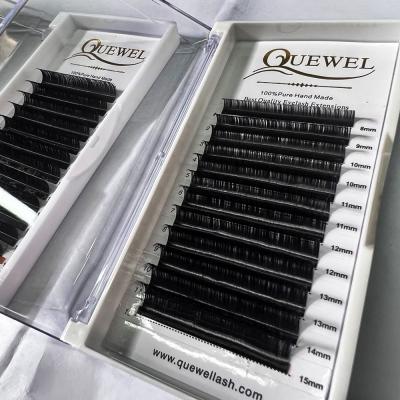 China Quewel Eyelash Extensions Natural Lashes Different Look Extension Trays Lashes Extensions Strips for sale