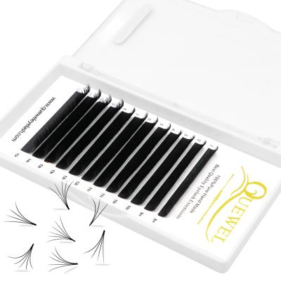 China Natural Eyelash Extensions Fan Quewel Fan 0.03 Eyelash Extension Easy Mink Lash Trays for sale