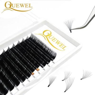 China Fan Natural Easy Volume Eyelash Extension Private Label Quewel Silk Wick Extensions for sale