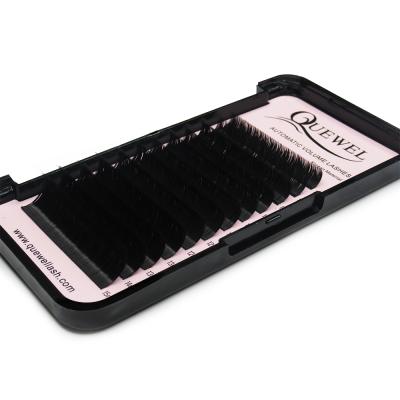 China Quewel Lash Wholesale Easy Fan Eyelash Long Fan Volume Fans Private Label Extension Natural Eyelash Extension for sale