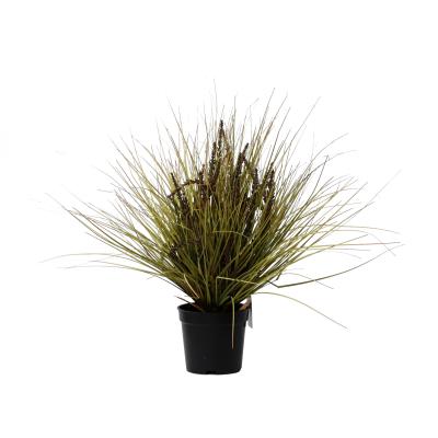 China Modern Artificial Potted Plant Green Onion Grass With Wheat Spray Bonsai for sale