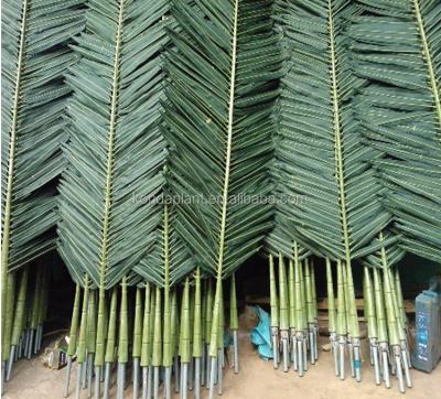 China Customized Super Green Color Indoor Outdoor Waterproof Decoration Fabric Artificial Palm Tree Leaves for sale