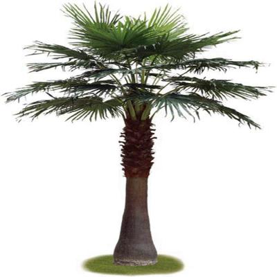 China Large outdoor artificial decorative palm tree landscape for sale