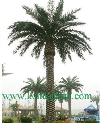 China Decoration Real Outdoor Eternal Artificial Palm Tree Large Touch Palmette for sale