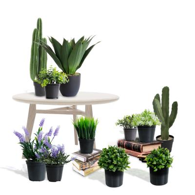 China OEM /ODM Plants Fake Plants Accessories Home Decor Fake Bonsai Plants Eco-Friendly Office Gift Small Bonsai Trees for sale